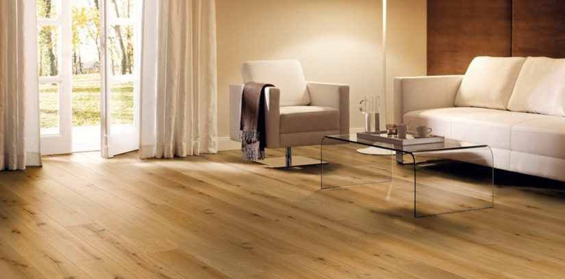 Marcanto Eiche Natur